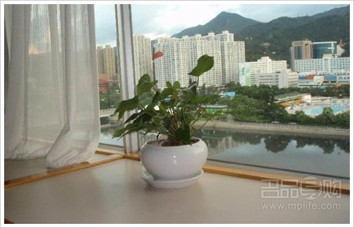 甜蜜香港游太平山顶迪士尼等