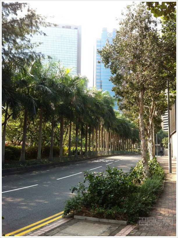 直奔香港过圣诞 SOGO败多件