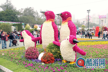 2013香港花卉展览