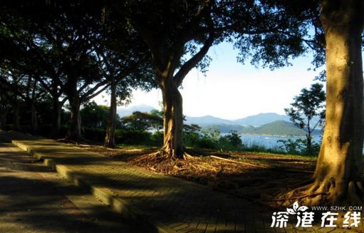 QQ截图20130809110038.jpg