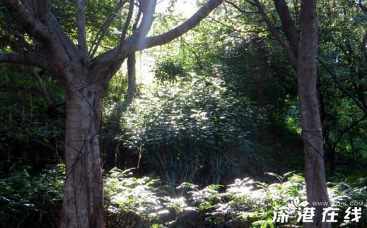 QQ截图20130809110047.jpg