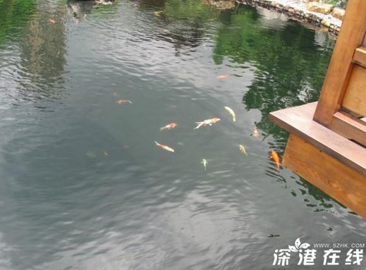QQ截图20130816141001.jpg
