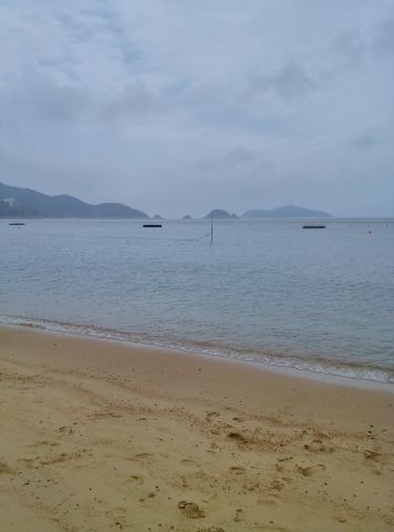 酚 2(2).JPG