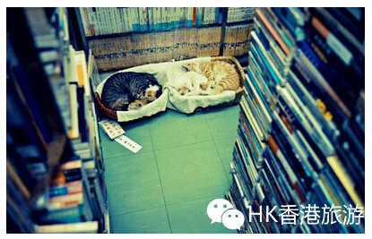 QQ截图20141201155429.jpg