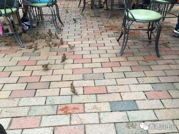 QQ截图20150818145247.png