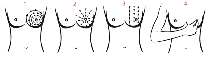 1443782125386610.png 00.png