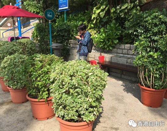 QQ截图20151221113221.jpg