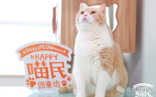 QQ截图20160808103134.png
