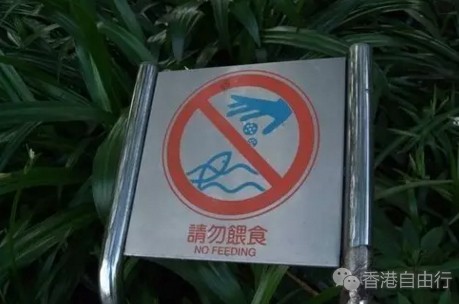 QQ截图20160907095955.png