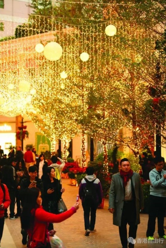 QQ截图20161207091550.png