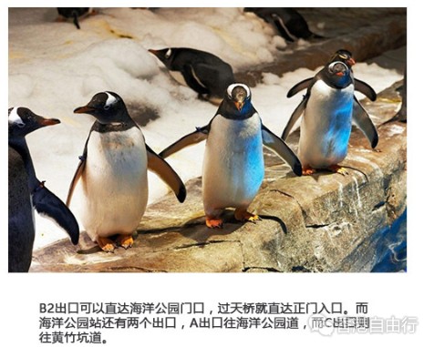 QQ截图20161214102738.png