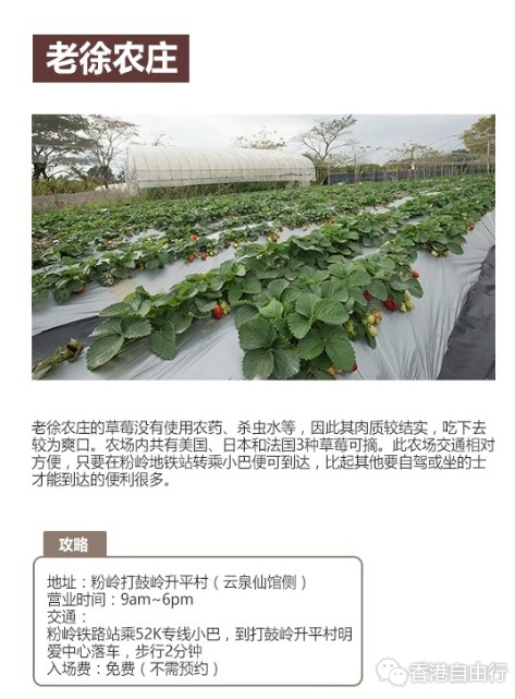 QQ截图20170204093632.png