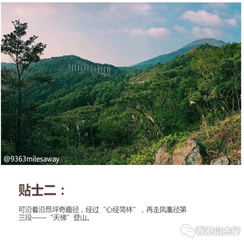 QQ截图20170204140826.png