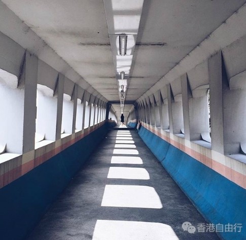 QQ截图20170310090027.png