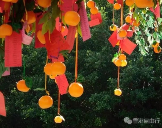 QQ截图20170409101139.png