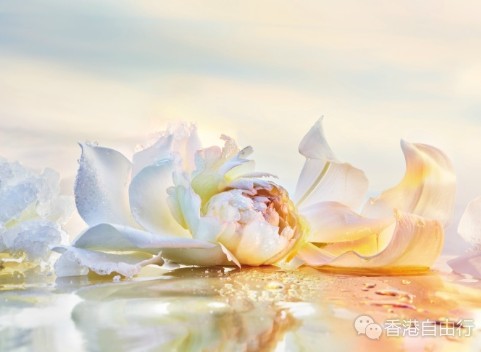 QQ截图20170415105734.png