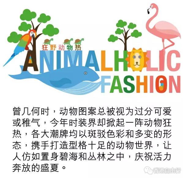 QQ截图20170630105458.png