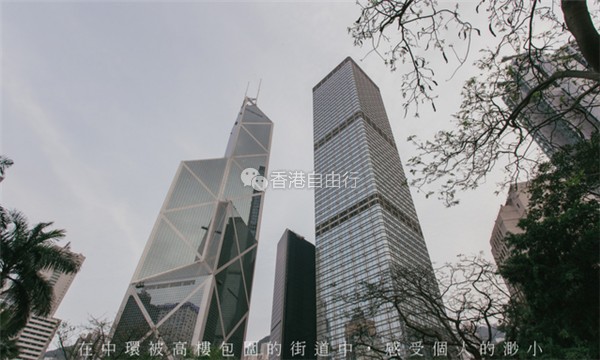 QQ截图20170705154345_副本.png