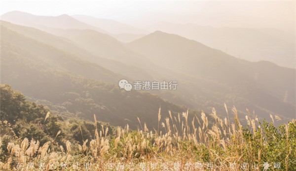 QQ截图20170705154338_副本.png