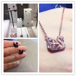 香港晒货：实拍施华洛世奇最新款饰品报价