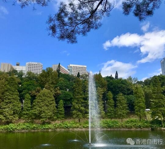 QQ截图20171130100116.jpg