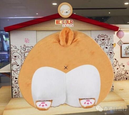 QQ截图20180118143336.jpg