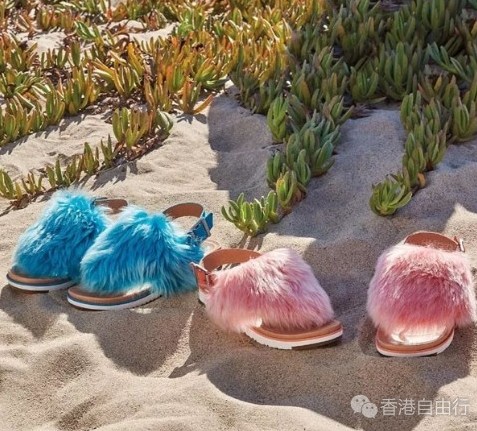 QQ截图20180127134654.png