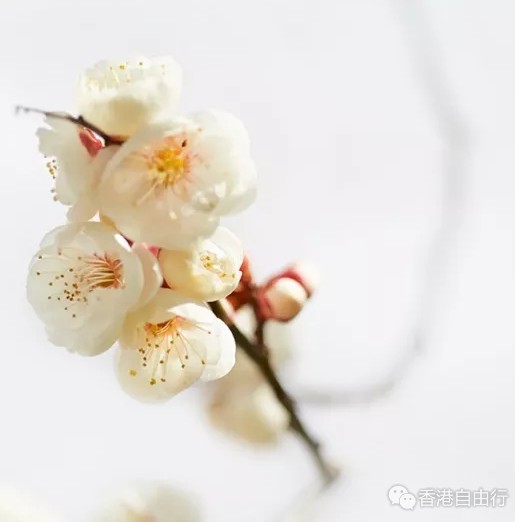 QQ截图20180319101144.png