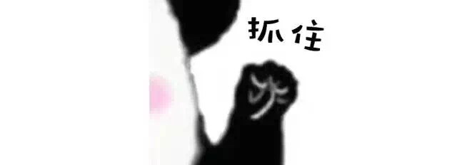103.jpg