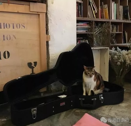 QQ截图20180402104354.png