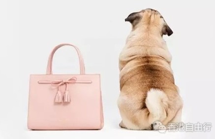 QQ截图20180523144108.png