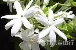 QQ截图20180816085812.jpg