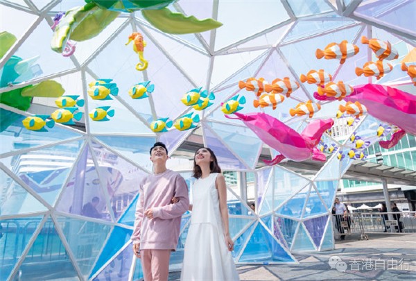 QQ截图20190313100353.png