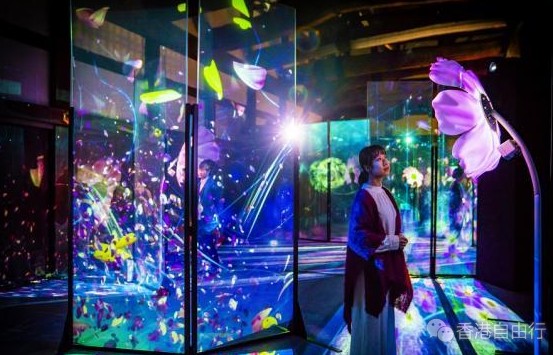 QQ截图20190715103908.png
