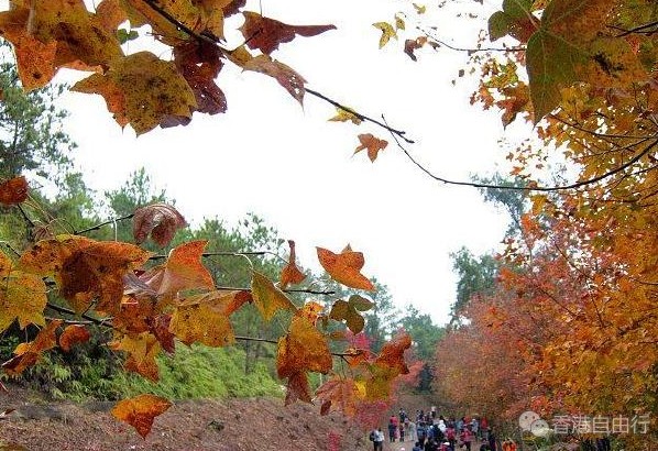 QQ截图20201211110213.png