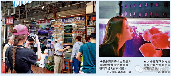 QQ截图20230407193719.png