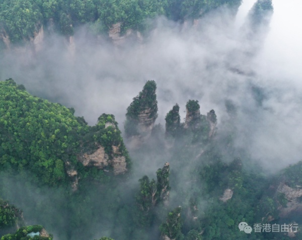 QQ截图20240615170358.png