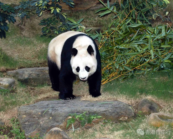 QQ截图20240812102434.png