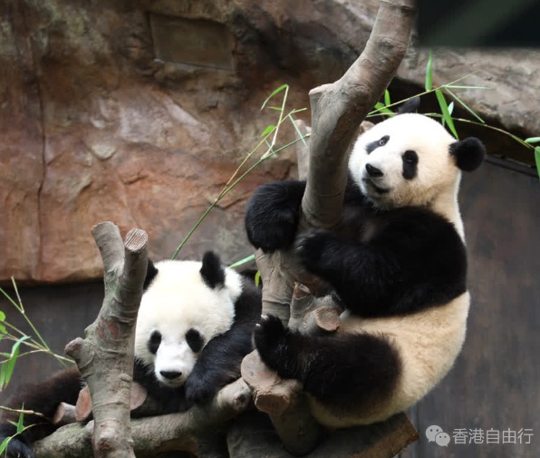 QQ截图20240813155824.png