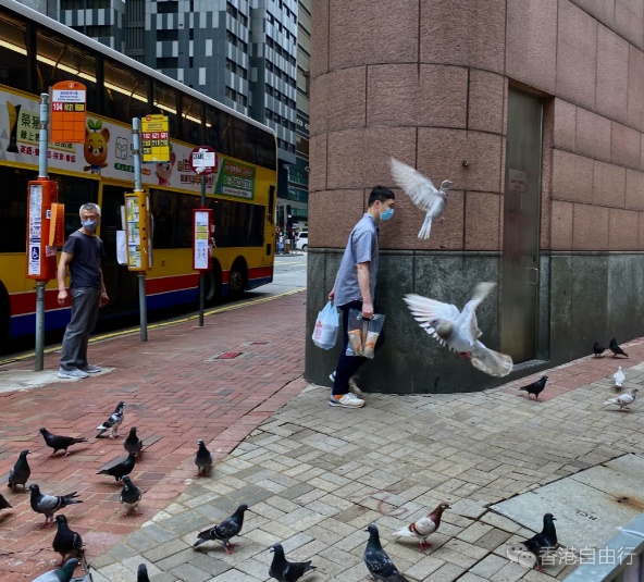 1725164365312286.png QQ截图20240901121911.png