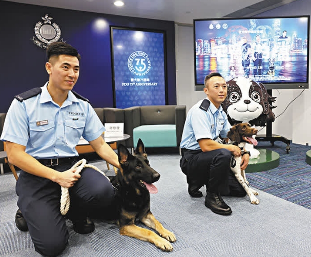 微信截图_20241112113928.png
