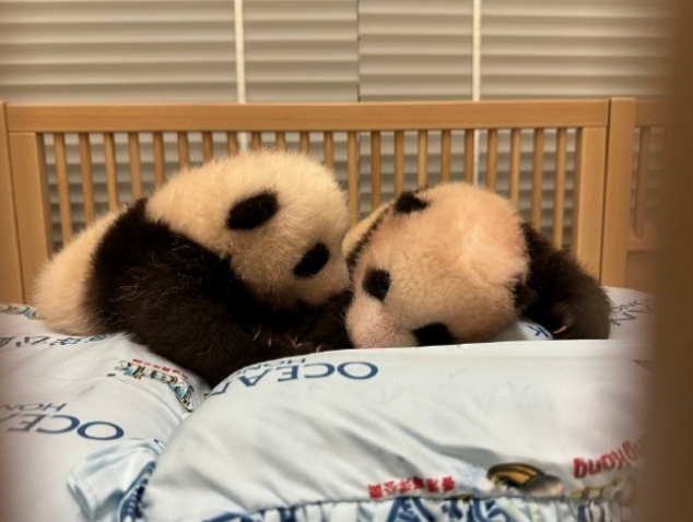 搜狗截图24年11月22日0725_7.png