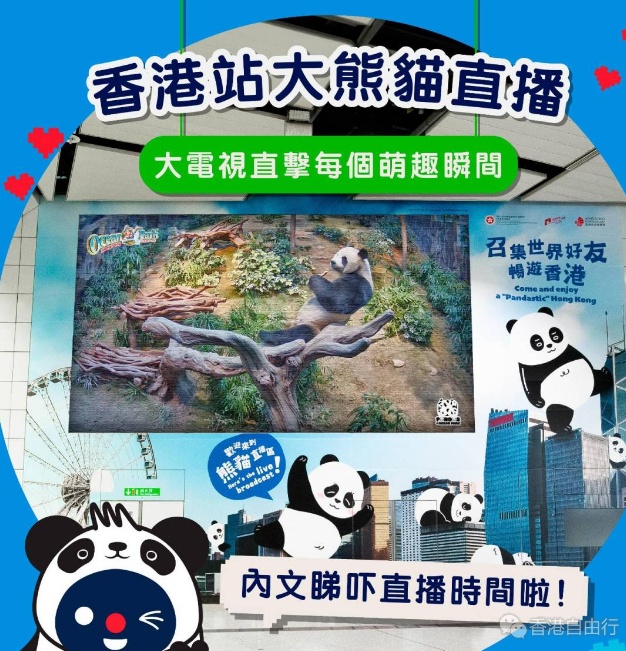 QQ20241225-132201.png