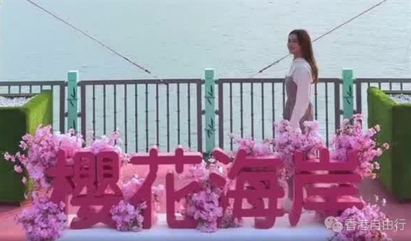 微信截图_20250219134315.png