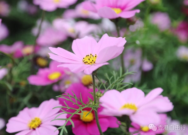 QQ20250324-101132.png