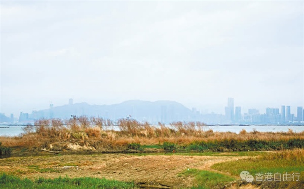 QQ20250409-105253.png