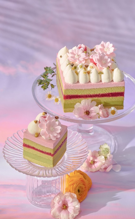 搜狗截图25年04月30日1254_8.png