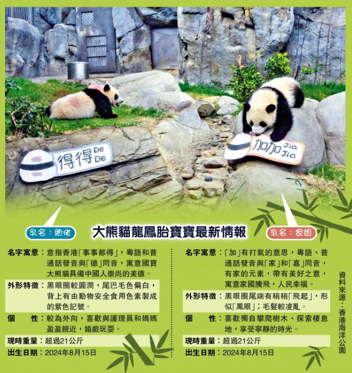搜狗截图25年05月28日1240_1.png