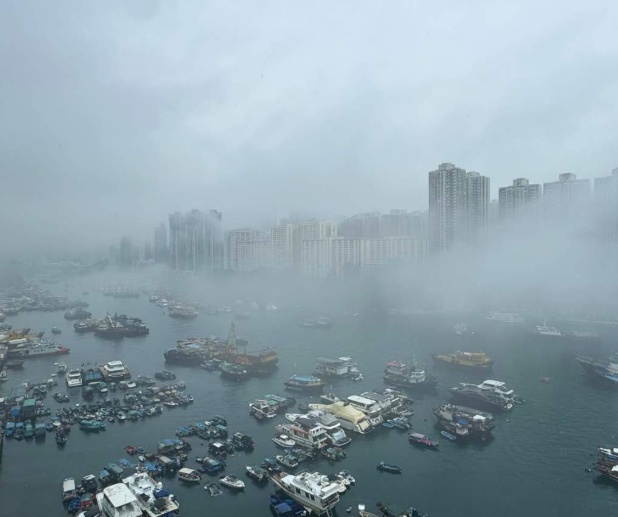 搜狗截图25年06月14日1011_2.png