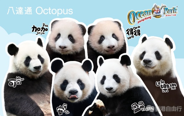 QQ20250701-174143.png